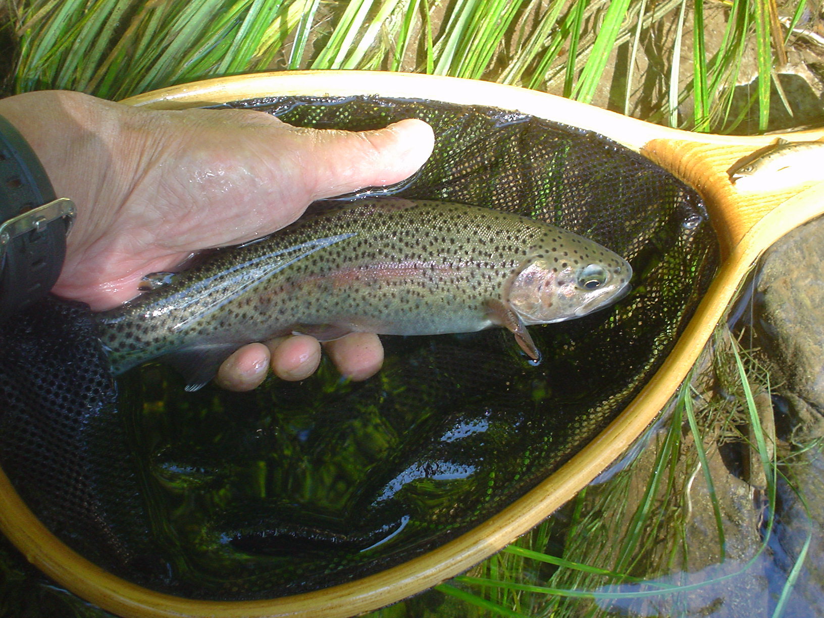 f0280717_16180425.jpg