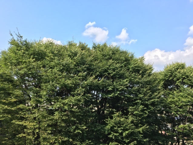 c0038722_13571178.jpeg