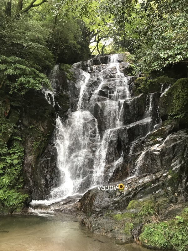 峠道といつもの滝_a0375823_10493870.jpg