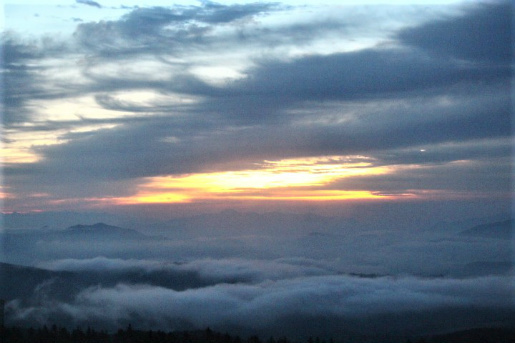 f0354923_11363099.jpg