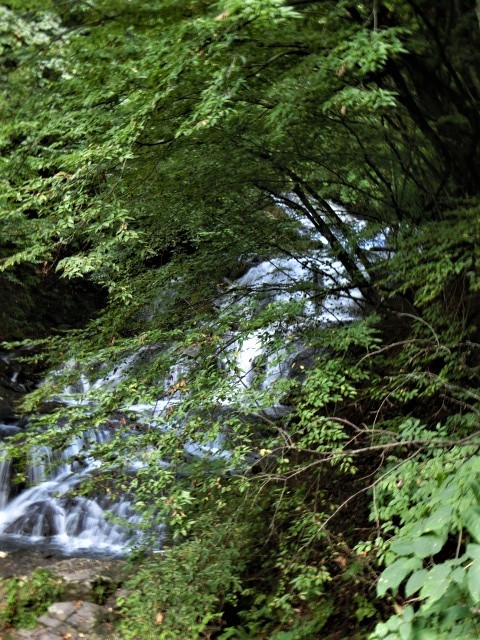 f0354923_22471575.jpg