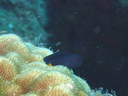 d0164831_17340632.jpg