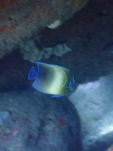 d0164831_17340700.jpg