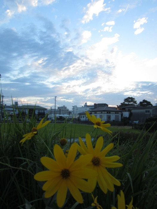 b0014732_06464752.jpg