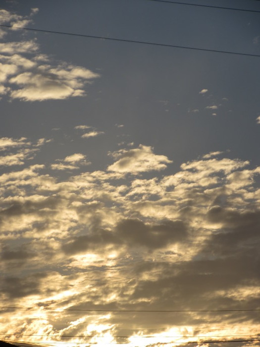 b0014732_06474813.jpg