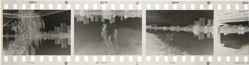 c0381632_10544439.jpg