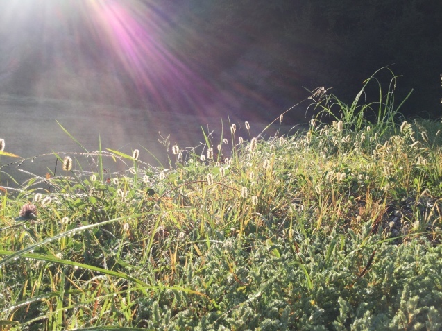 f0118332_20101613.jpg