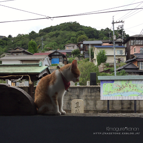 おのねこ時間_b0197639_10291178.jpg