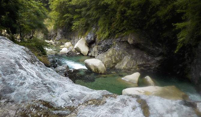 e0371039_1521822.gif