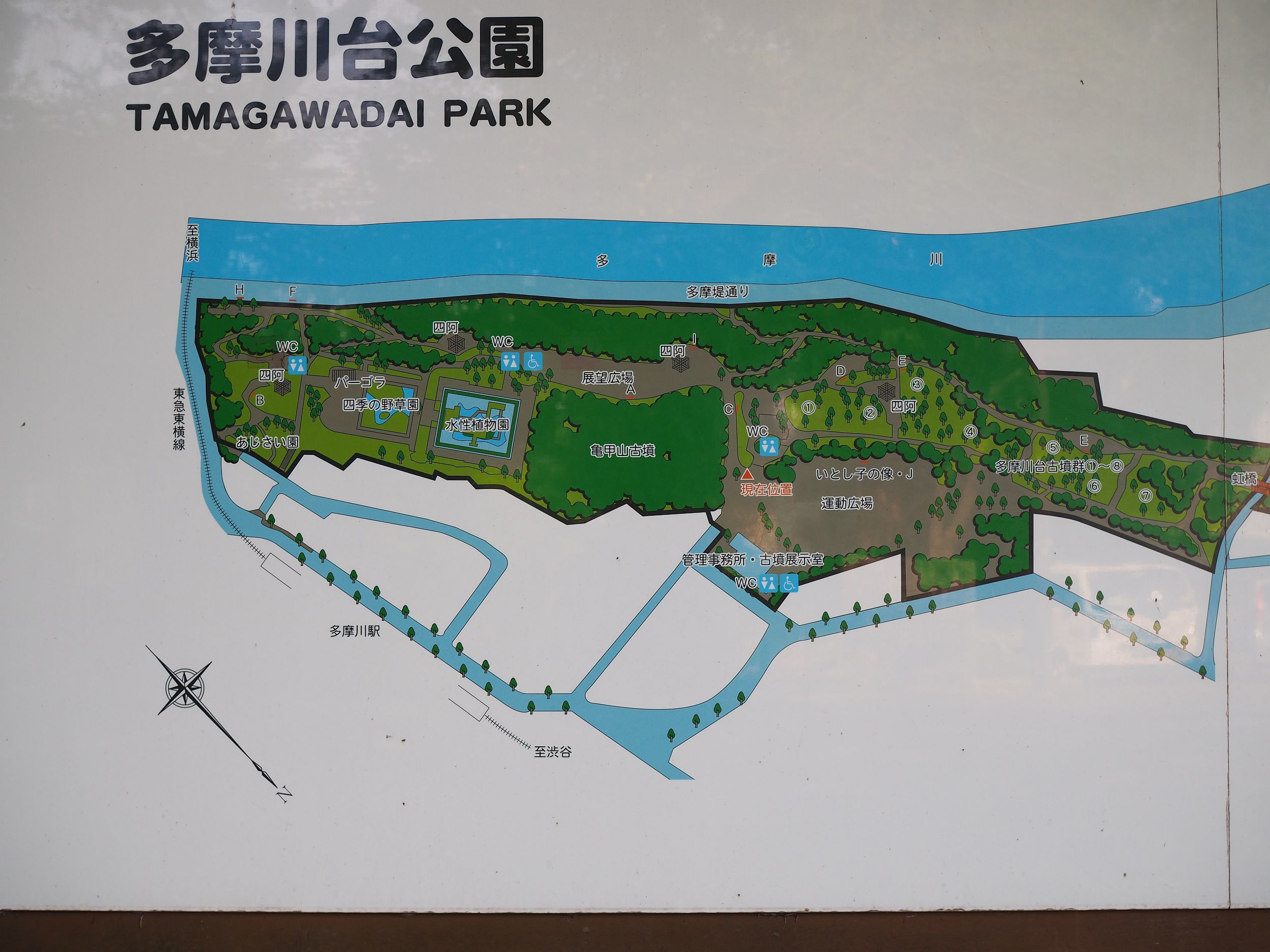 史跡 亀甲山古墳 東京都 大田区 行き方 見学のしかた 近代文化遺産見学案内所 史跡 亀甲山古墳 東京都 大田区 行き方 見学のしかた 近代文化遺産見学案内所