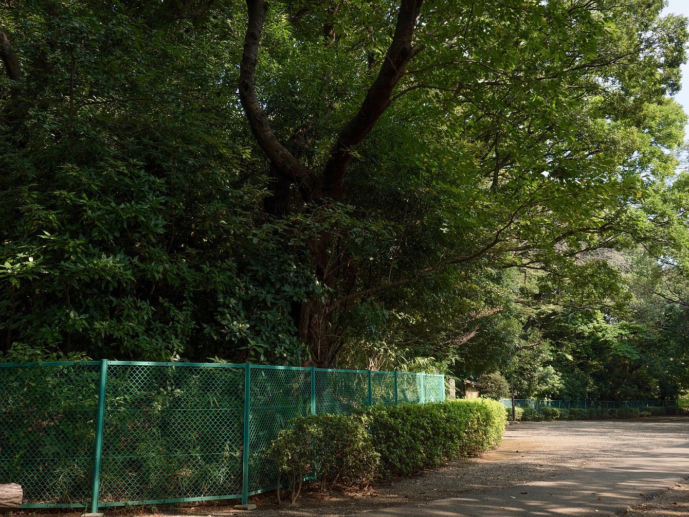 史跡 亀甲山古墳 東京都 大田区 行き方 見学のしかた 近代文化遺産見学案内所 史跡 亀甲山古墳 東京都 大田区 行き方 見学のしかた 近代文化遺産見学案内所