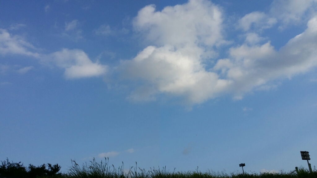 f0046854_22062583.jpg