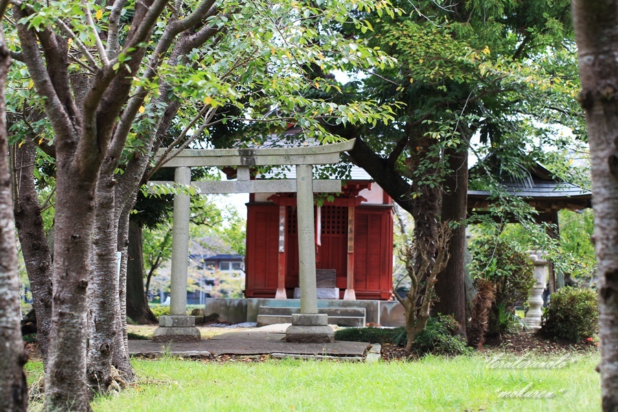 弁財天神社_d0349655_20444759.jpg