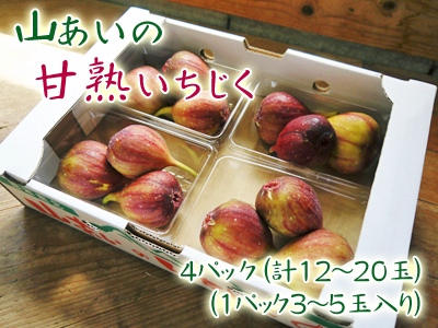 甘熟いちじく　平成29年度の出荷予定数まで残りわずか！ラストチャンス！ご注文はお急ぎ下さい！_a0254656_19120174.jpg