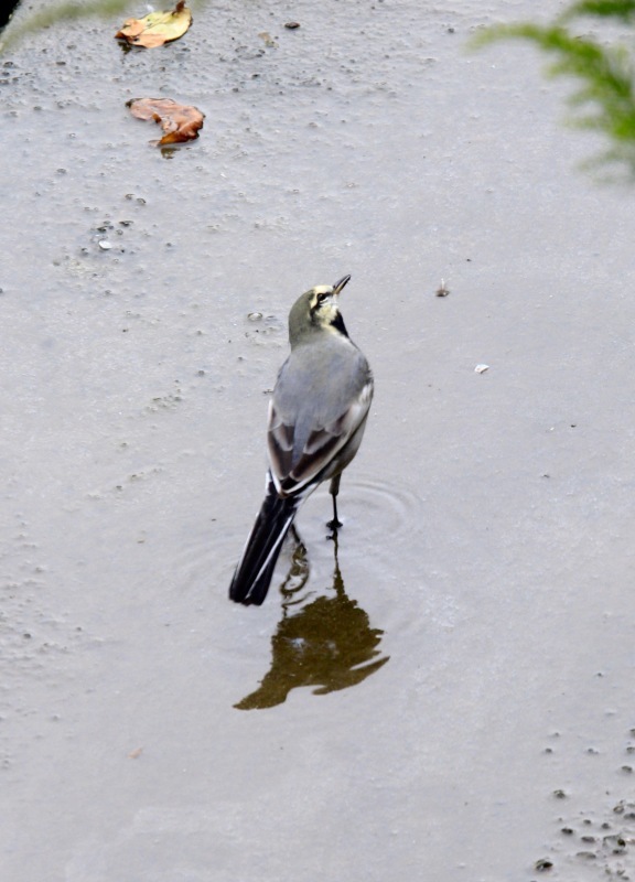 a0248459_15031004.jpg