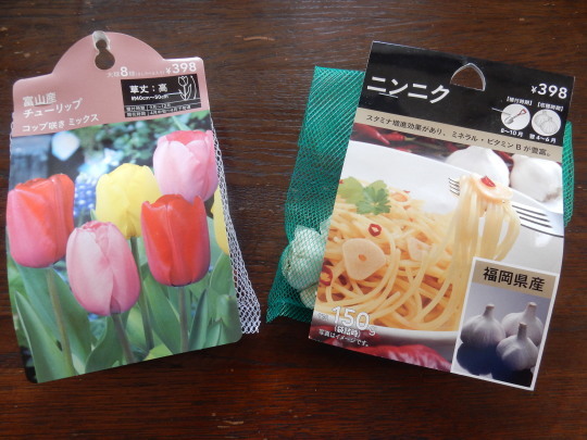 ’17,9,26(火)今年はニンニクを植えよう!_f0060461_12252723.jpg