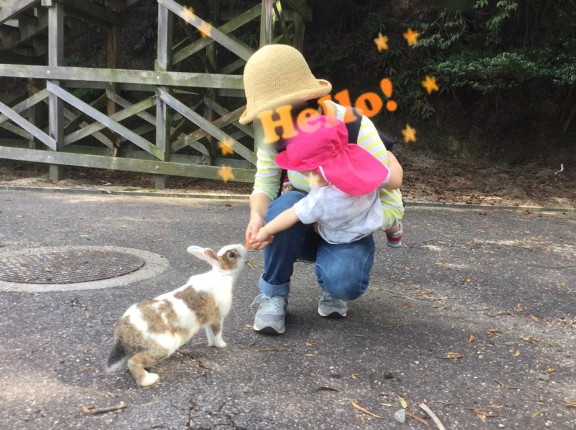 a0295764_23591341.jpeg
