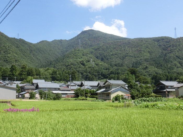 No474振られ振られて福井越前富士の日野山へ_b0185573_16434583.jpg