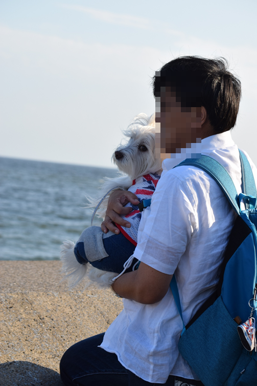 b0242873_01493140.png