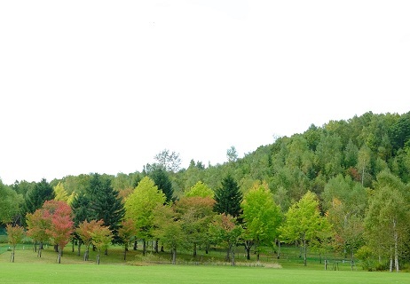 f0362073_06331196.jpg