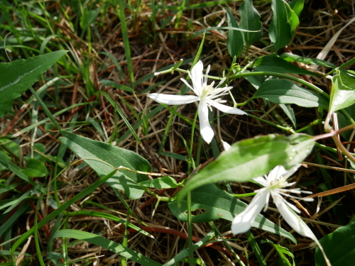f0054677_06274597.jpg