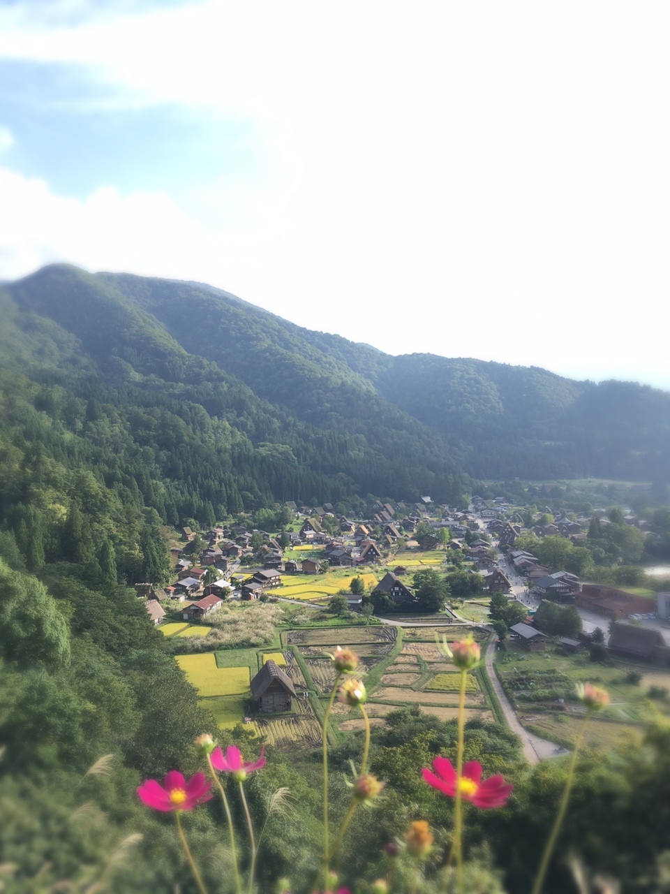 d0348182_11182654.jpg