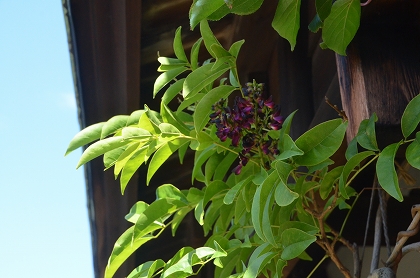 c0229483_18541594.jpg