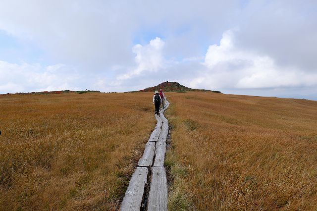 e0137200_20184741.jpg