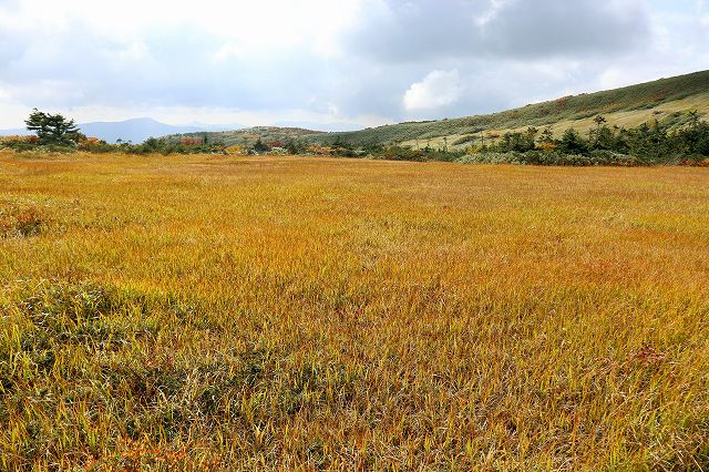 e0137200_20203092.jpg