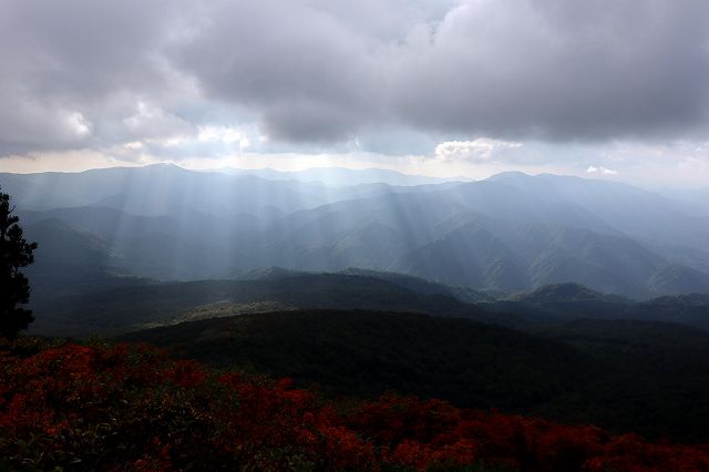 e0137200_20212280.jpg