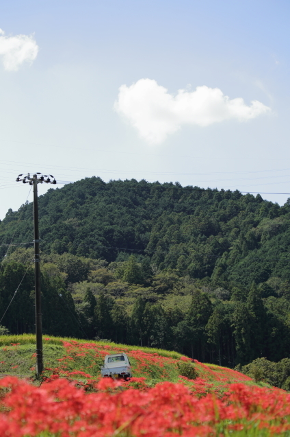 d0354901_22514260.jpeg