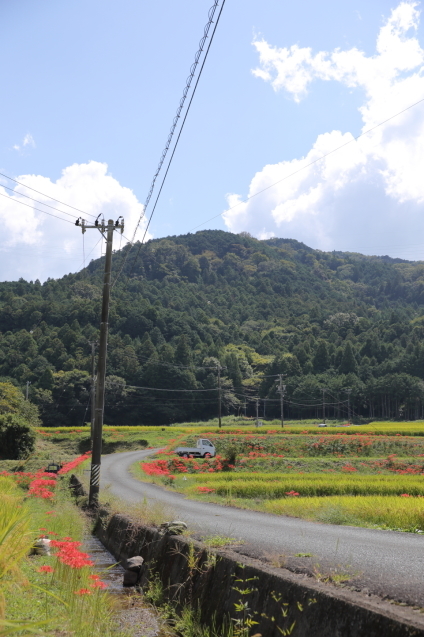 d0354901_22520215.jpeg