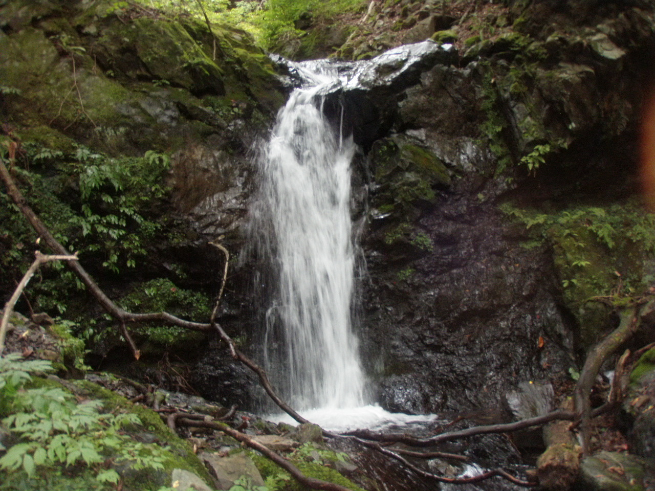 d0342206_18222204.jpg