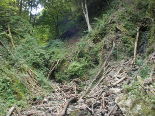 d0342206_18225536.jpg