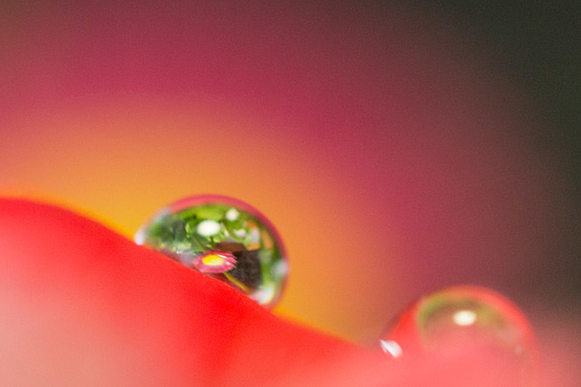 b0014607_17120687.jpg