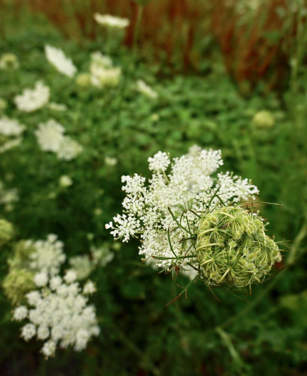 d0363108_00013851.jpeg