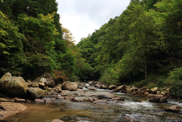 e0174008_17393698.jpg