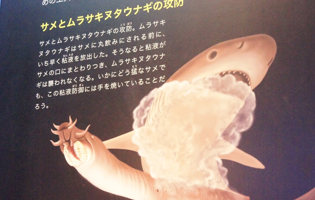 深海17 展へ オートクチュールの旅日記 深海17 展へ オートクチュールの旅日記