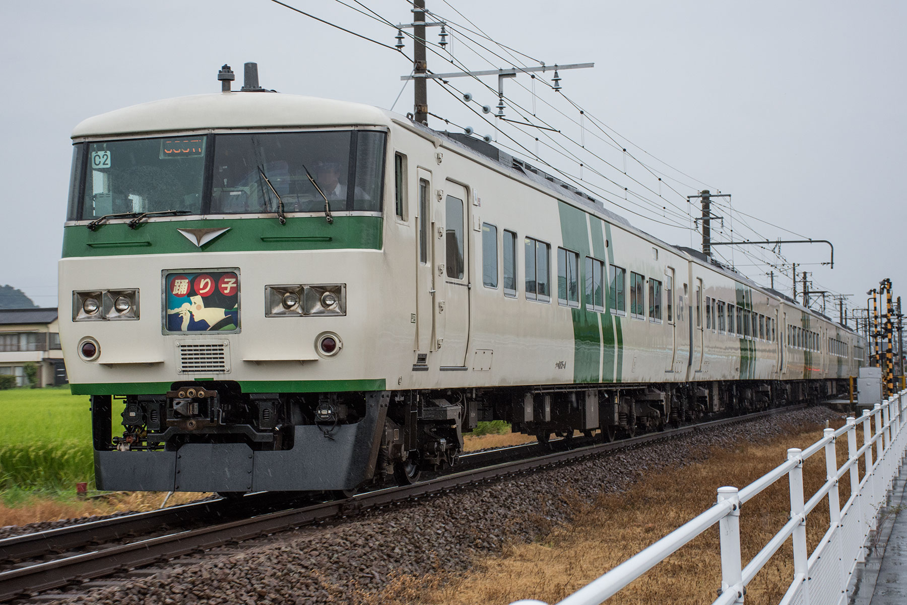 伊豆箱根鉄道 3000系 / 3506F - HAPPY PARTY TRAIN「桜内梨子」-_d0226909_16423839.jpg