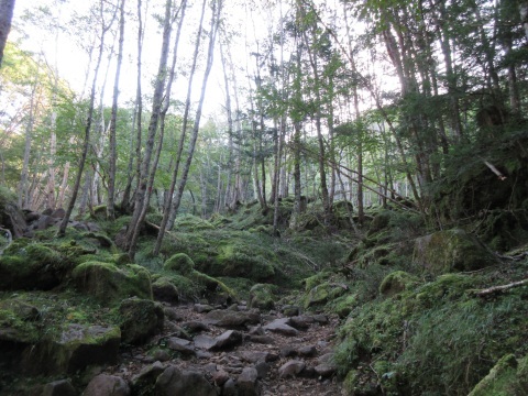 f0149422_16524803.jpg