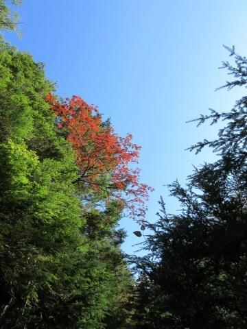 f0149422_16531292.jpg