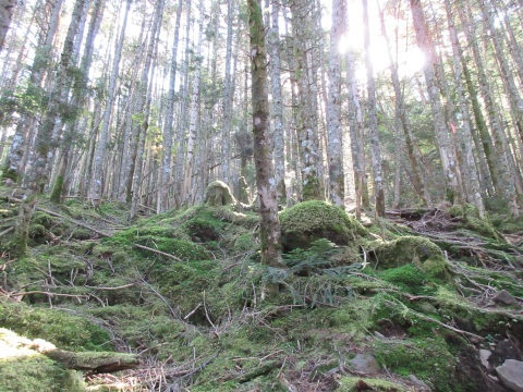 f0149422_16533403.jpg