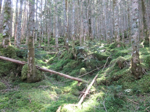 f0149422_16535404.jpg