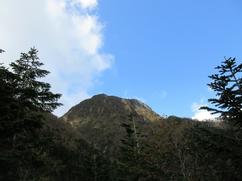 f0149422_16561145.jpg