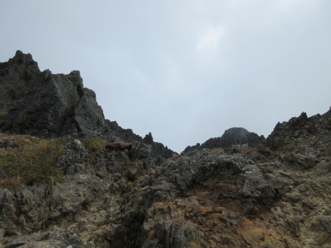 f0149422_17014805.jpg