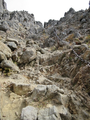 f0149422_17030475.jpg