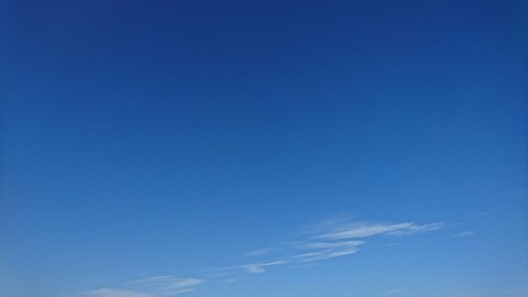 d0060425_17261155.jpg