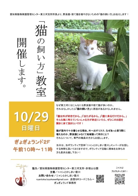 「え?猫ってこうやって飼うのがいいの??」猫の飼い方教室のお知らせ_a0284626_12582288.jpeg