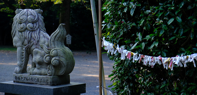 「宮崎・都城の歴史散歩 神柱宮と都城島津家」_a0000029_14235721.jpg