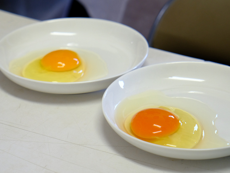「宮崎・都城　美味しい卵を食べます！河中農園と都城シティホテル・おいし家」_a0000029_16192574.jpg